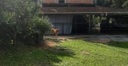 🌿 SÍTIO DE 5 HECTARES EM IBIRAMA 🌿