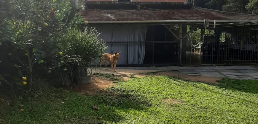 🌿 SÍTIO DE 5 HECTARES EM IBIRAMA 🌿