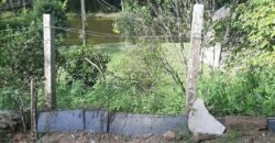 🌿 SÍTIO DE 5 HECTARES EM IBIRAMA 🌿