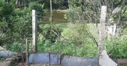 🌿 SÍTIO DE 5 HECTARES EM IBIRAMA 🌿