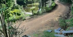 🌿 SÍTIO DE 5 HECTARES EM IBIRAMA 🌿