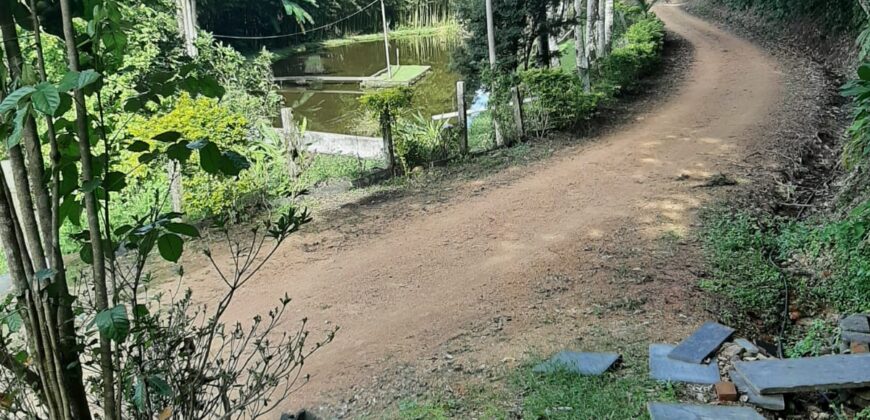 🌿 SÍTIO DE 5 HECTARES EM IBIRAMA 🌿