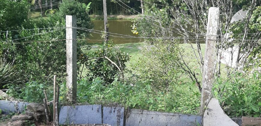 🌿 SÍTIO DE 5 HECTARES EM IBIRAMA 🌿