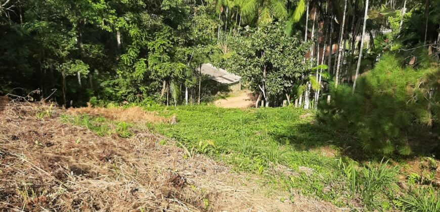 🌿 SÍTIO DE 5 HECTARES EM IBIRAMA 🌿