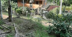 🌿 SÍTIO DE 5 HECTARES EM IBIRAMA 🌿
