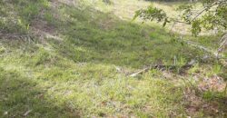 🌿 SÍTIO DE 5 HECTARES EM IBIRAMA 🌿