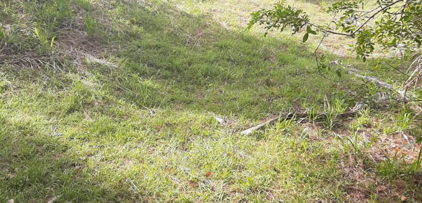 🌿 SÍTIO DE 5 HECTARES EM IBIRAMA 🌿