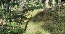 🌿 SÍTIO DE 5 HECTARES EM IBIRAMA 🌿
