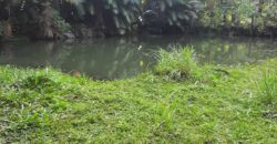 🌿 SÍTIO DE 5 HECTARES EM IBIRAMA 🌿