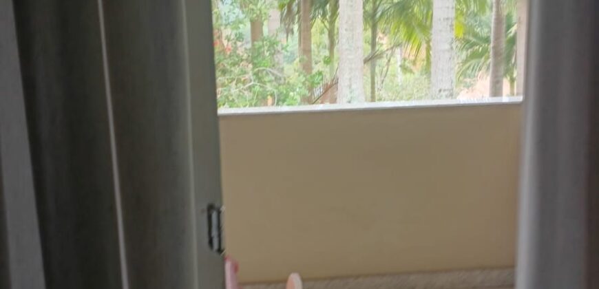🏡✨ LINDA CHÁCARA / SÍTIO À VENDA EM DONA EMMA ✨🏡