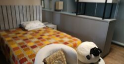 🏡✨ LINDA CHÁCARA / SÍTIO À VENDA EM DONA EMMA ✨🏡
