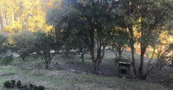 🌿🏡 SÍTIO À VENDA EM JOSÉ BOITEUX  🏡🌿