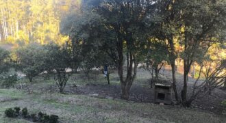 🌿🏡 SÍTIO À VENDA EM JOSÉ BOITEUX  🏡🌿