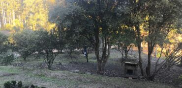 🌿🏡 SÍTIO À VENDA EM JOSÉ BOITEUX  🏡🌿