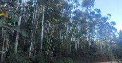 🌿🏡 SÍTIO À VENDA EM JOSÉ BOITEUX  🏡🌿