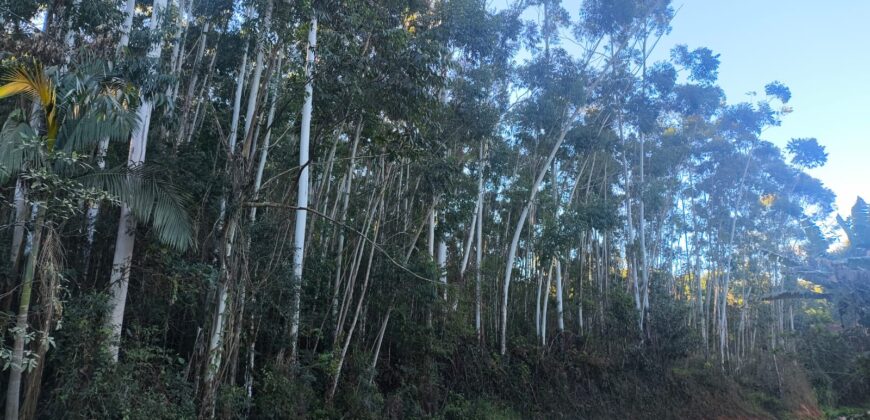 🌿🏡 SÍTIO À VENDA EM JOSÉ BOITEUX  🏡🌿