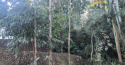 🌿🏡 SÍTIO À VENDA EM JOSÉ BOITEUX  🏡🌿