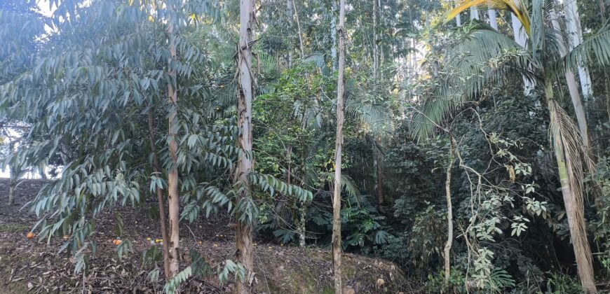🌿🏡 SÍTIO À VENDA EM JOSÉ BOITEUX  🏡🌿