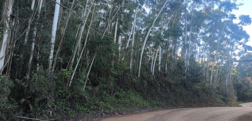 🌿🏡 SÍTIO À VENDA EM JOSÉ BOITEUX  🏡🌿