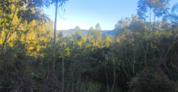 🌿🏡 SÍTIO À VENDA EM JOSÉ BOITEUX  🏡🌿