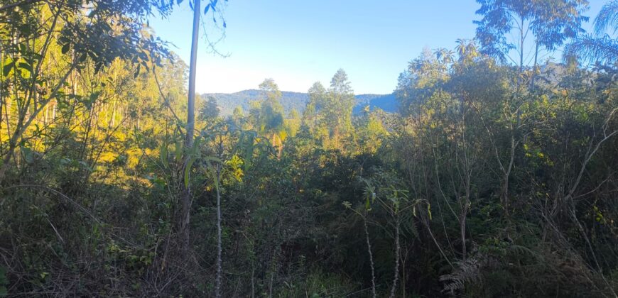 🌿🏡 SÍTIO À VENDA EM JOSÉ BOITEUX  🏡🌿