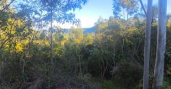 🌿🏡 SÍTIO À VENDA EM JOSÉ BOITEUX  🏡🌿