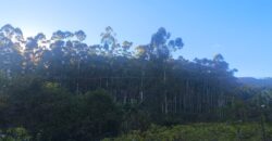 🌿🏡 SÍTIO À VENDA EM JOSÉ BOITEUX  🏡🌿
