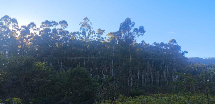 🌿🏡 SÍTIO À VENDA EM JOSÉ BOITEUX  🏡🌿