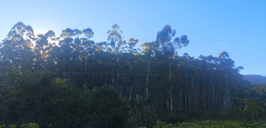 🌿🏡 SÍTIO À VENDA EM JOSÉ BOITEUX  🏡🌿