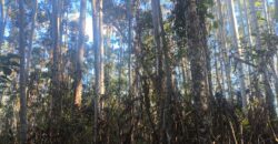 🌿🏡 SÍTIO À VENDA EM JOSÉ BOITEUX  🏡🌿