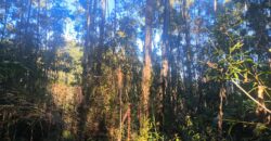 🌿🏡 SÍTIO À VENDA EM JOSÉ BOITEUX  🏡🌿