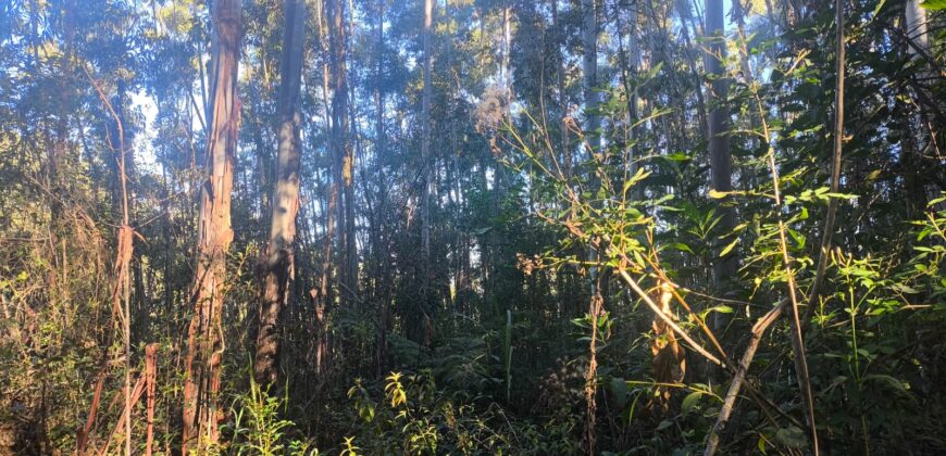 🌿🏡 SÍTIO À VENDA EM JOSÉ BOITEUX  🏡🌿