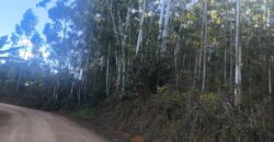 🌿🏡 SÍTIO À VENDA EM JOSÉ BOITEUX  🏡🌿