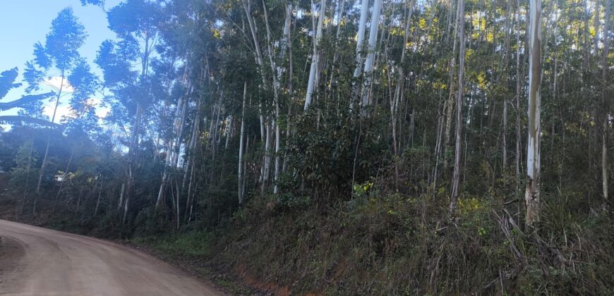 🌿🏡 SÍTIO À VENDA EM JOSÉ BOITEUX  🏡🌿
