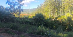 🌿🏡 SÍTIO À VENDA EM JOSÉ BOITEUX  🏡🌿