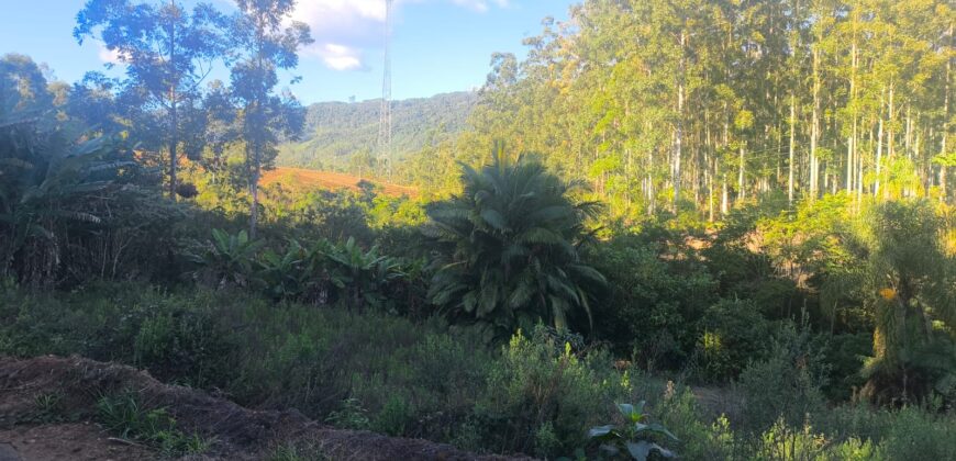 🌿🏡 SÍTIO À VENDA EM JOSÉ BOITEUX  🏡🌿