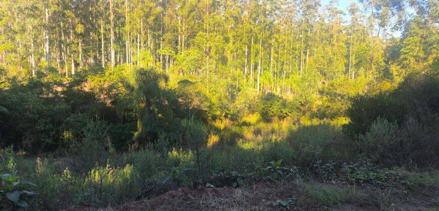 🌿🏡 SÍTIO À VENDA EM JOSÉ BOITEUX  🏡🌿
