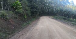 🌿🏡 SÍTIO À VENDA EM JOSÉ BOITEUX  🏡🌿
