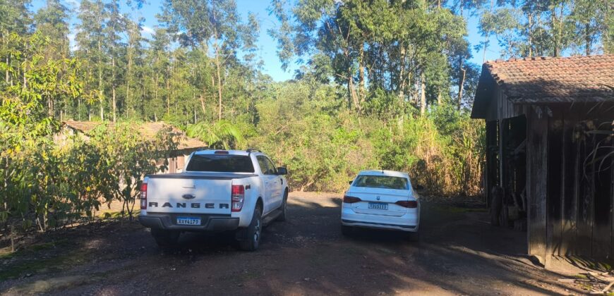🌿🏡 SÍTIO À VENDA EM JOSÉ BOITEUX  🏡🌿